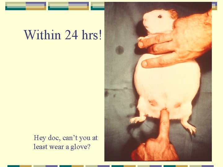 Within 24 hrs! Hey doc, can’t you at least wear a glove? 