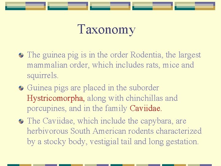 Taxonomy The guinea pig is in the order Rodentia, the largest mammalian order, which