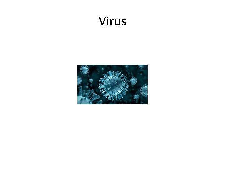 Virus 