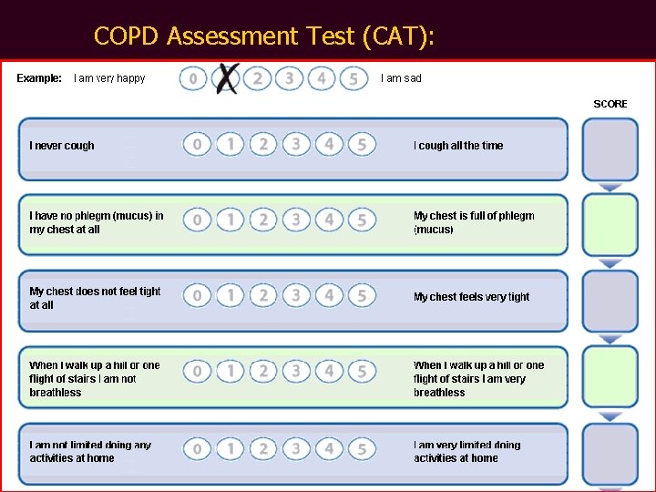 COPD Assessment Test (CAT): 