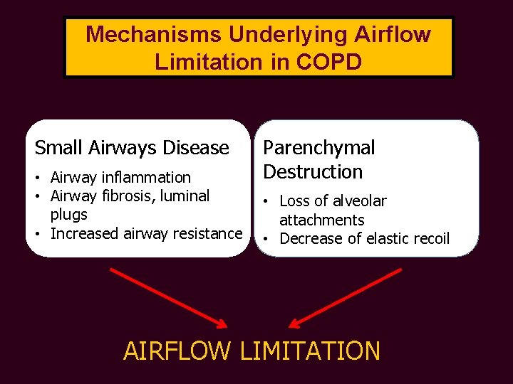 Mechanisms Underlying Airflow Limitation in COPD Small Airways Disease • Airway inflammation • Airway