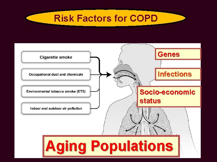 Risk Factors for COPD Genes Infections Socio-economic status Aging Populations 