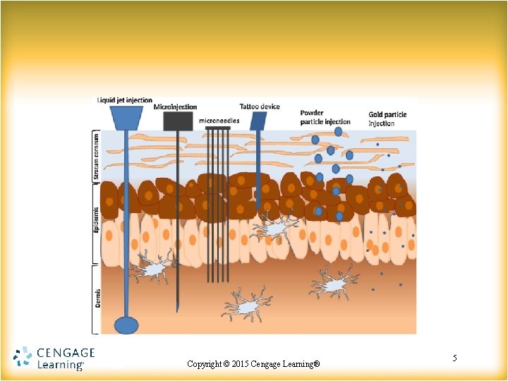 Copyright © 2015 Copyright Cengage©Learning® 2015 Cengage Learning® 5 