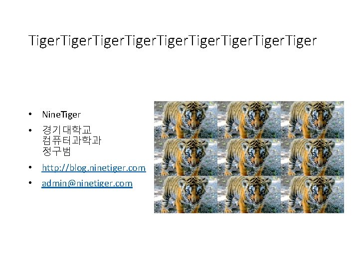 Tiger. Tiger • Nine. Tiger • 경기대학교 컴퓨터과학과 정구범 • http: //blog. ninetiger. com