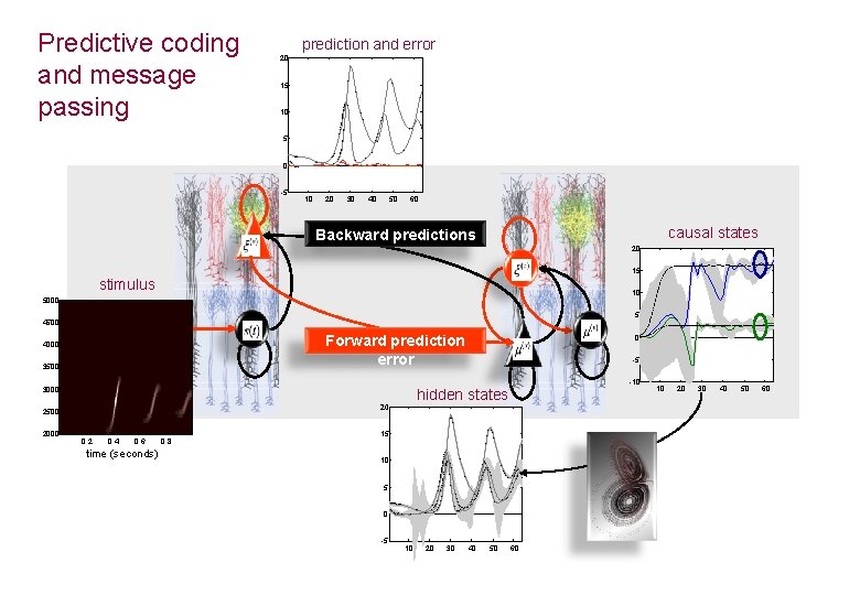 Predictive coding and message passing prediction and error 20 15 10 5 0 -5