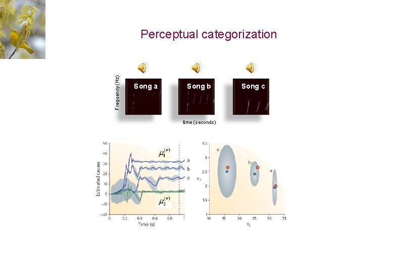 Frequency (Hz) Perceptual categorization Song a Song b time (seconds) Song c 