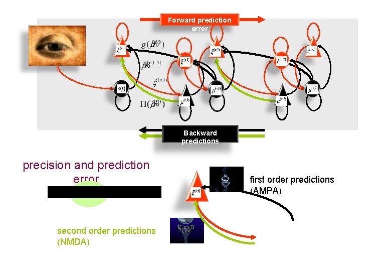 Forward prediction error Backward predictions precision and prediction error second order predictions (NMDA) first