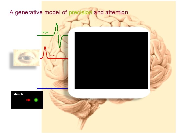 A generative model of precision and attention target cue stimuli exogenous endogenous decay 