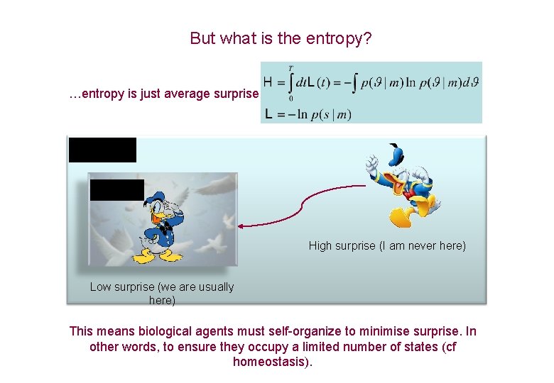 But what is the entropy? …entropy is just average surprise High surprise (I am