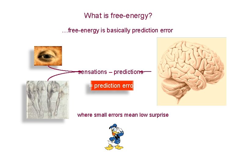 What is free-energy? …free-energy is basically prediction error sensations – predictions = prediction error