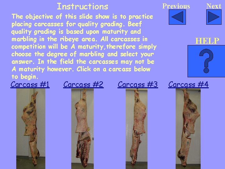 Instructions Previous The objective of this slide show is to practice placing carcasses for