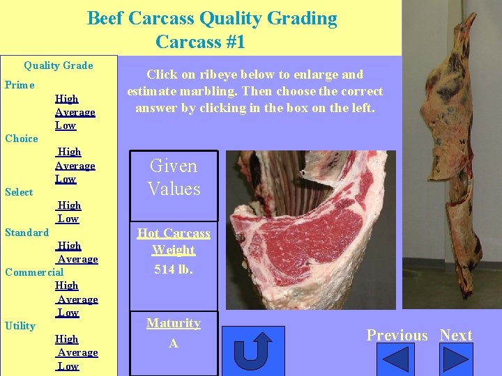 Beef Carcass Quality Grading Carcass #1 Quality Grade Prime High Average Low Click on