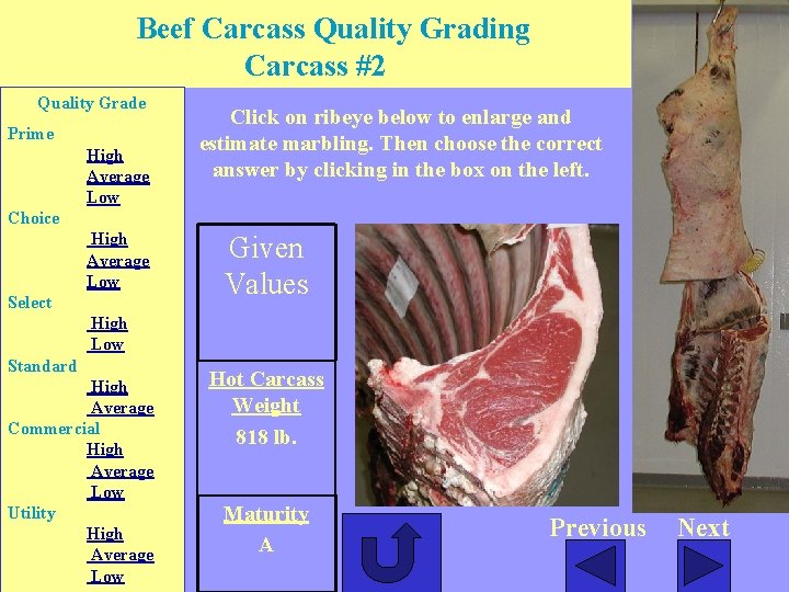 Beef Carcass Quality Grading Carcass #2 Quality Grade Prime High Average Low Click on