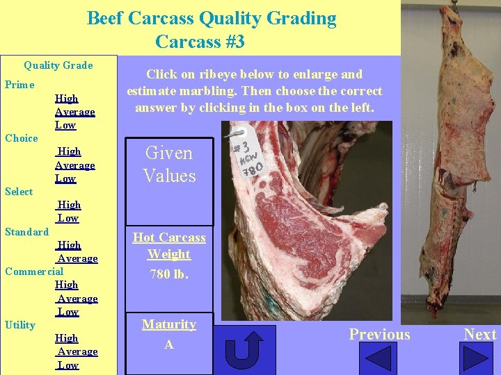 Beef Carcass Quality Grading Carcass #3 Quality Grade Prime High Average Low Choice High