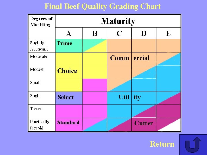 Final Beef Quality Grading Chart Return 