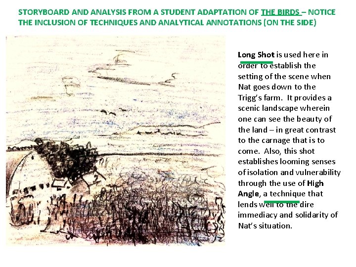 STORYBOARD ANALYSIS FROM A STUDENT ADAPTATION OF THE BIRDS – NOTICE THE INCLUSION OF