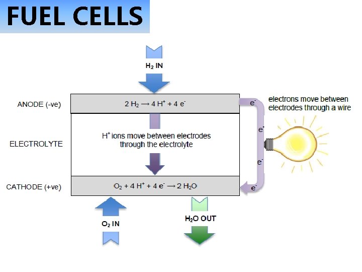 FUEL CELLS 