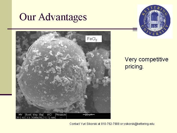 Our Advantages Fe. Cl 2 Very competitive pricing. Contact Yuri Sikorski at 810 -762