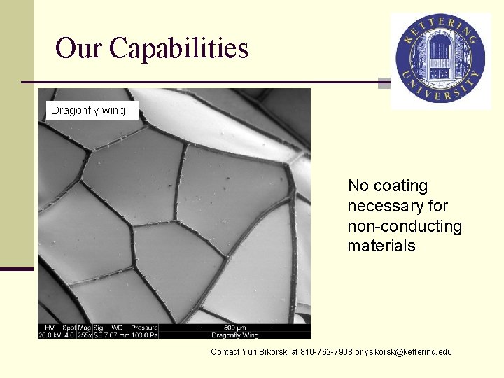 Our Capabilities Dragonfly wing No coating necessary for non-conducting materials Contact Yuri Sikorski at