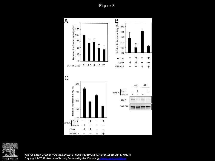 Figure 3 The American Journal of Pathology 2012 180831 -838 DOI: (10. 1016/j. ajpath.