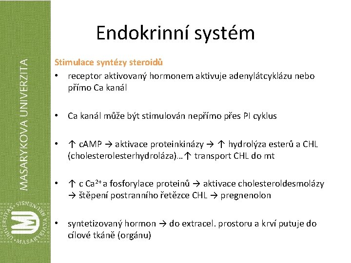 Endokrinní systém Stimulace syntézy steroidů • receptor aktivovaný hormonem aktivuje adenylátcyklázu nebo přímo Ca