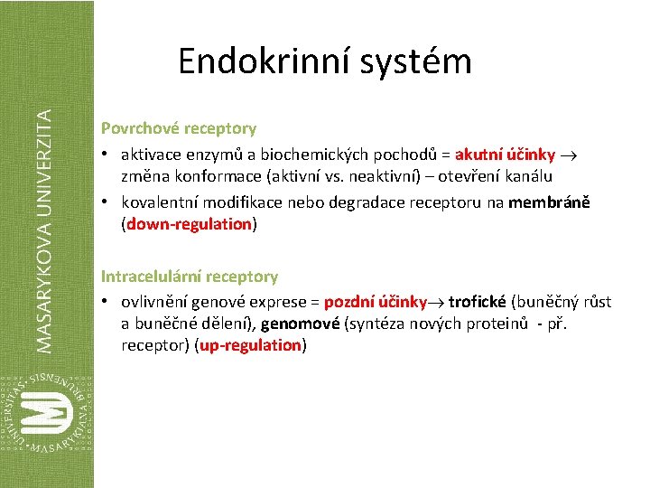 Endokrinní systém Povrchové receptory • aktivace enzymů a biochemických pochodů = akutní účinky změna