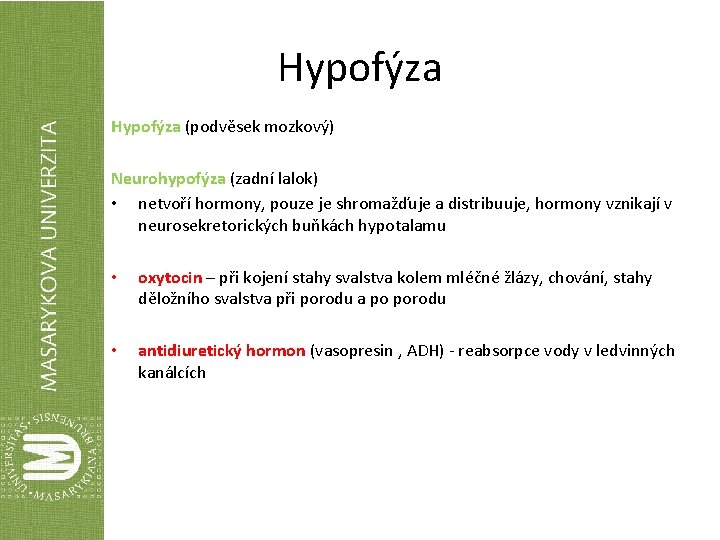 Hypofýza (podvěsek mozkový) Neurohypofýza (zadní lalok) • netvoří hormony, pouze je shromažďuje a distribuuje,