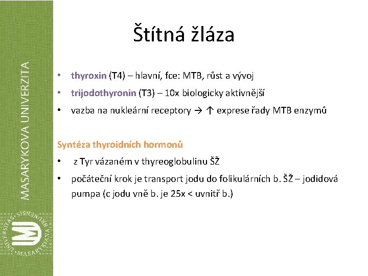 Štítná žláza • thyroxin (T 4) – hlavní, fce: MTB, růst a vývoj •