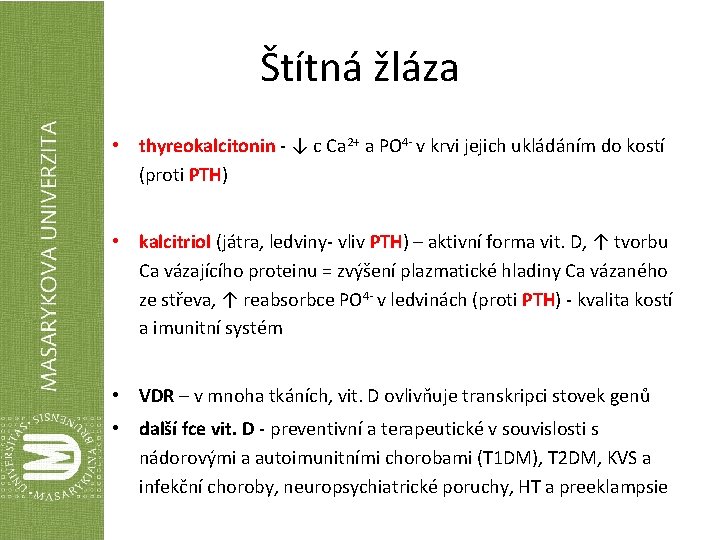 Štítná žláza • thyreokalcitonin - ↓ c Ca 2+ a PO 4 - v