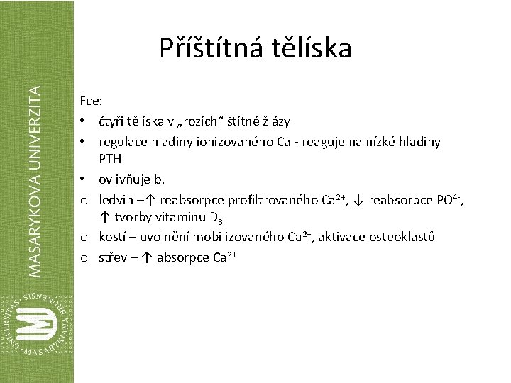 Příštítná tělíska Fce: • čtyři tělíska v „rozích“ štítné žlázy • regulace hladiny ionizovaného