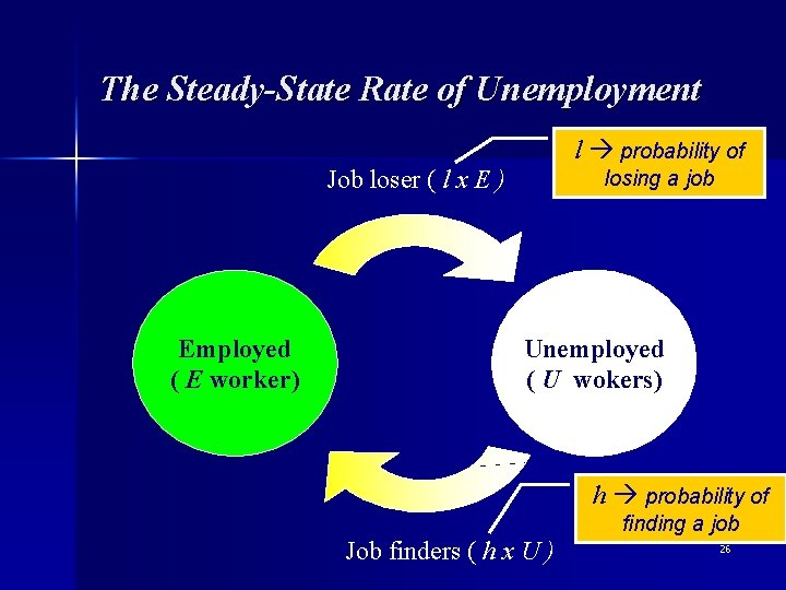 The Steady-State Rate of Unemployment l probability of Job loser ( l x E