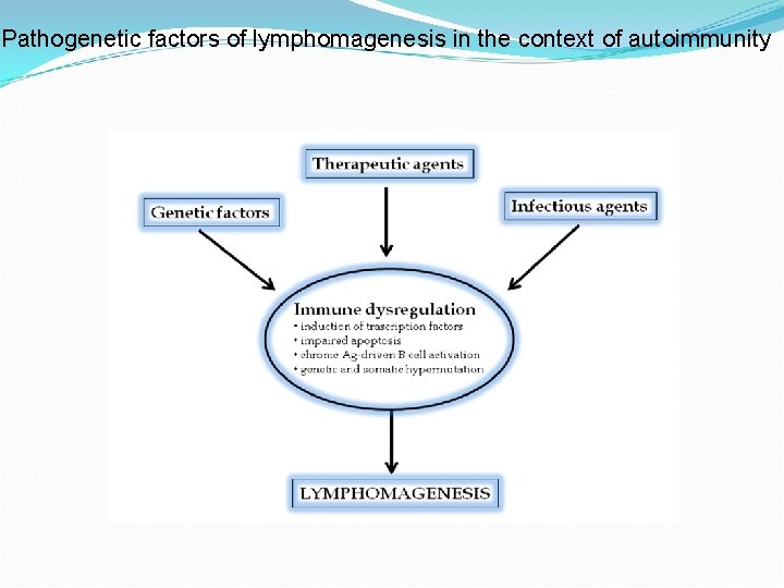 Pathogenetic factors of lymphomagenesis in the context of autoimmunity 