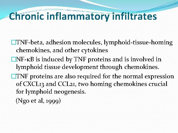 Chronic inflammatory infiltrates �TNF-beta, adhesion molecules, lymphoid-tissue-homing chemokines, and other cytokines �NF-κB is induced
