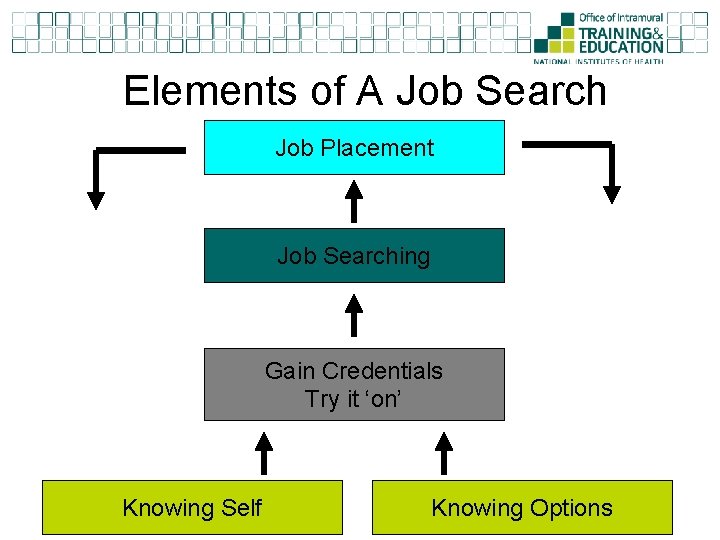 Elements of A Job Search Job Placement Job Searching Gain Credentials Try it ‘on’