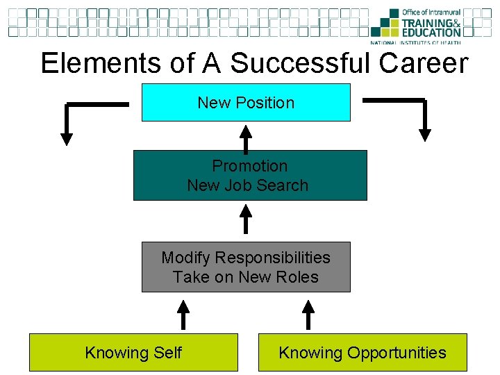 Elements of A Successful Career New Position Promotion New Job Search Modify Responsibilities Take