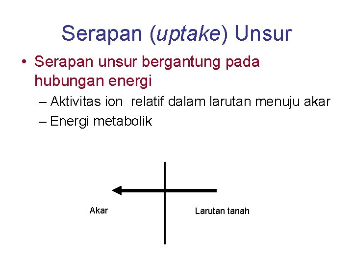 Serapan (uptake) Unsur • Serapan unsur bergantung pada hubungan energi – Aktivitas ion relatif