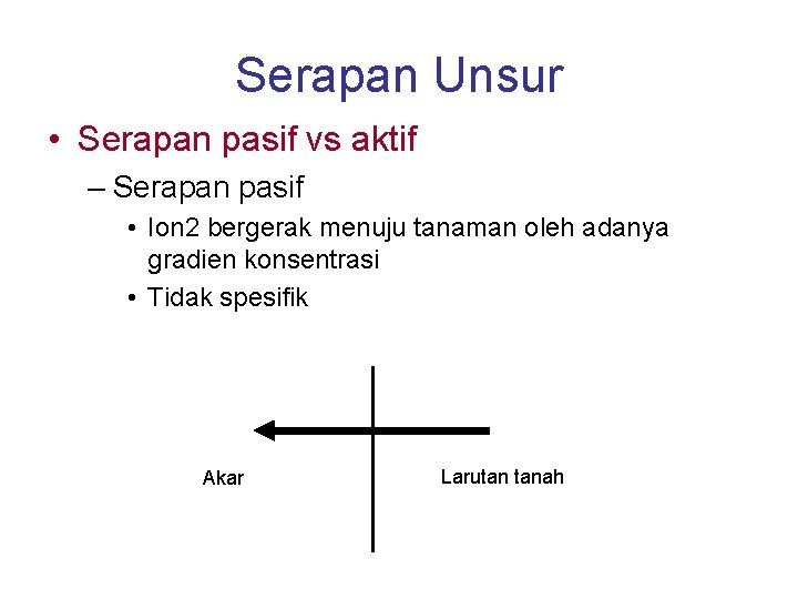 Serapan Unsur • Serapan pasif vs aktif – Serapan pasif • Ion 2 bergerak