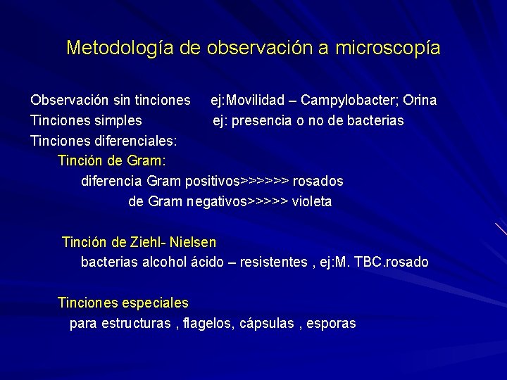 Metodología de observación a microscopía Observación sin tinciones ej: Movilidad – Campylobacter; Orina Tinciones