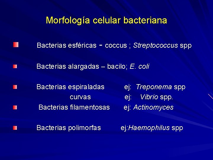 Morfología celular bacteriana Bacterias esféricas - coccus ; Streptococcus spp Bacterias alargadas – bacilo;