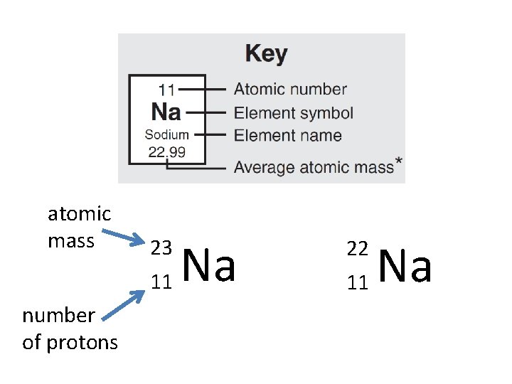 atomic mass number of protons 23 11 Na 22 11 Na 