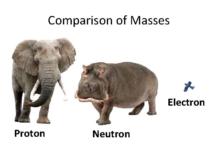 Comparison of Masses Electron Proton Neutron 