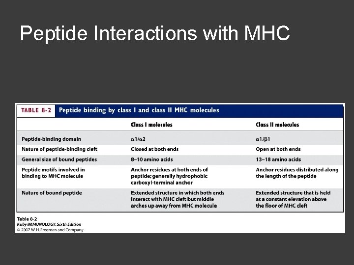 Peptide Interactions with MHC 