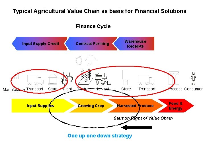 Typical Agricultural Value Chain as basis for Financial Solutions Finance Cycle Input Supply Credit