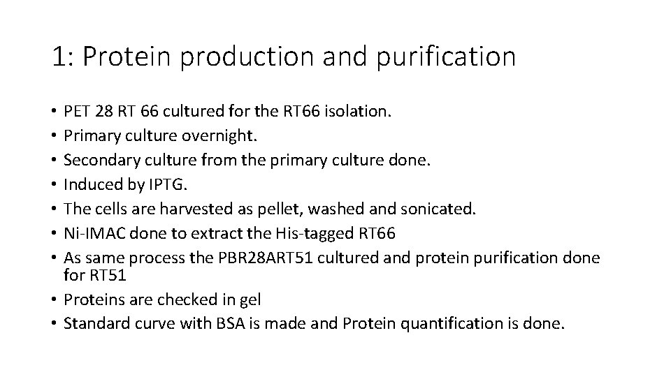 1: Protein production and purification PET 28 RT 66 cultured for the RT 66