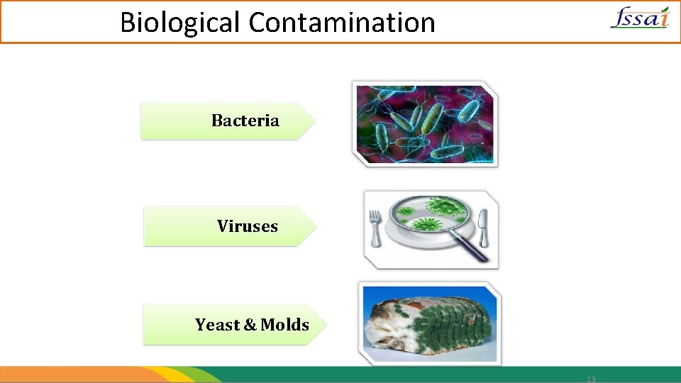 Biological Contamination Bacteria Viruses Yeast & Molds 13 