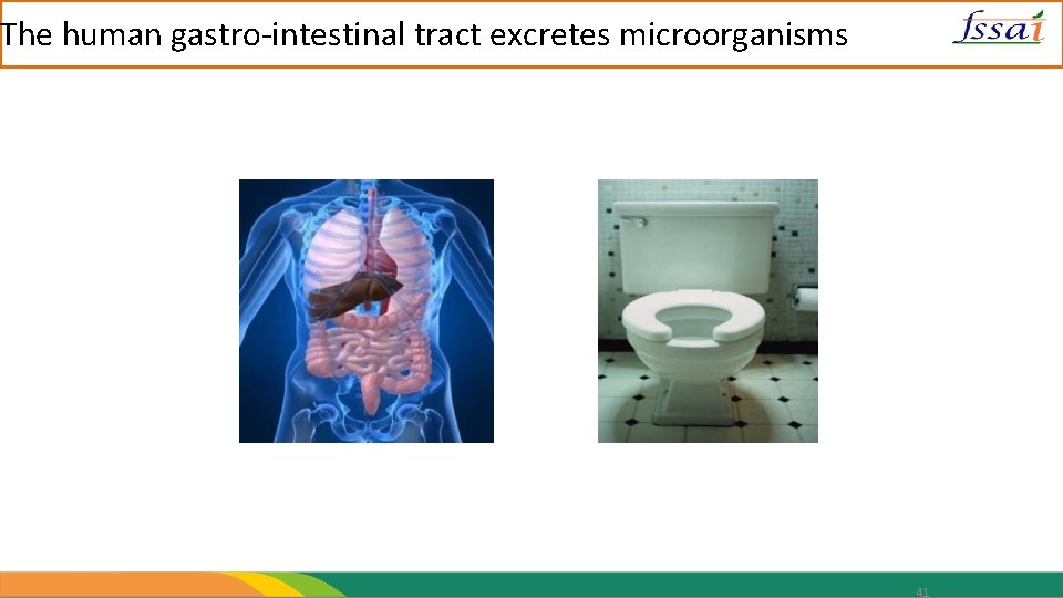 The human gastro-intestinal tract excretes microorganisms 41 