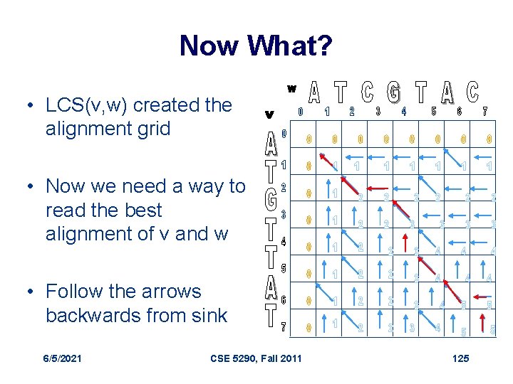 Now What? • LCS(v, w) created the alignment grid • Now we need a