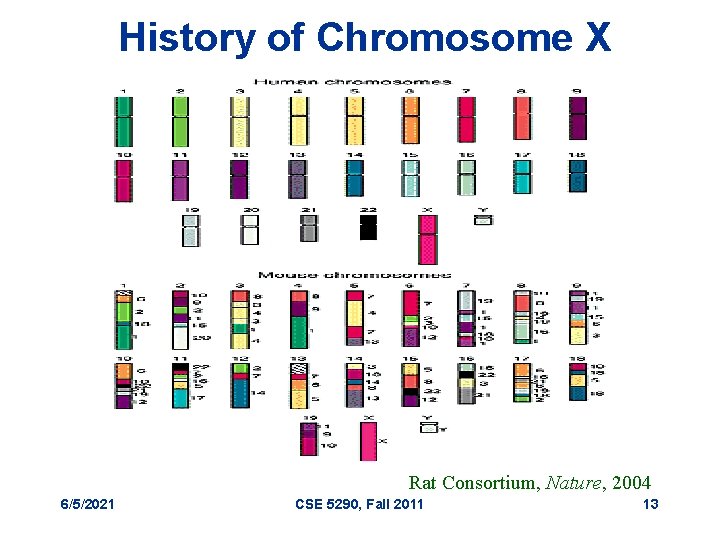 History of Chromosome X Rat Consortium, Nature, 2004 6/5/2021 CSE 5290, Fall 2011 13