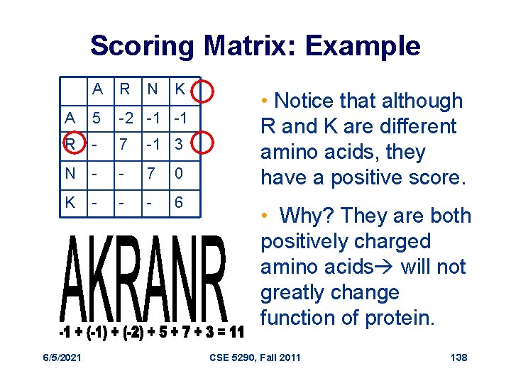 Scoring Matrix: Example A R A 5 -2 -1 -1 R - 7 -1