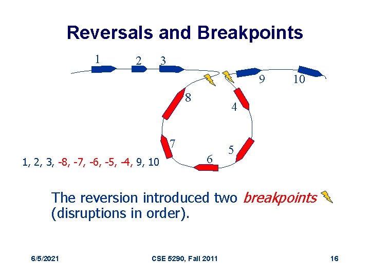 Reversals and Breakpoints 1 2 3 9 8 4 7 1, 2, 3, -8,